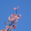 天届