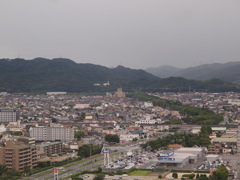 緑地
