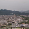 緑地