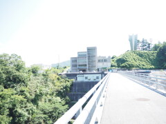 菅沢