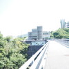 菅沢