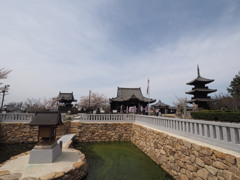 見渡