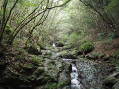 黄谷