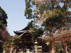 逆打
