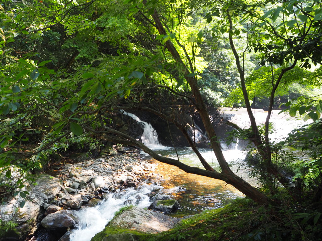 八重滝