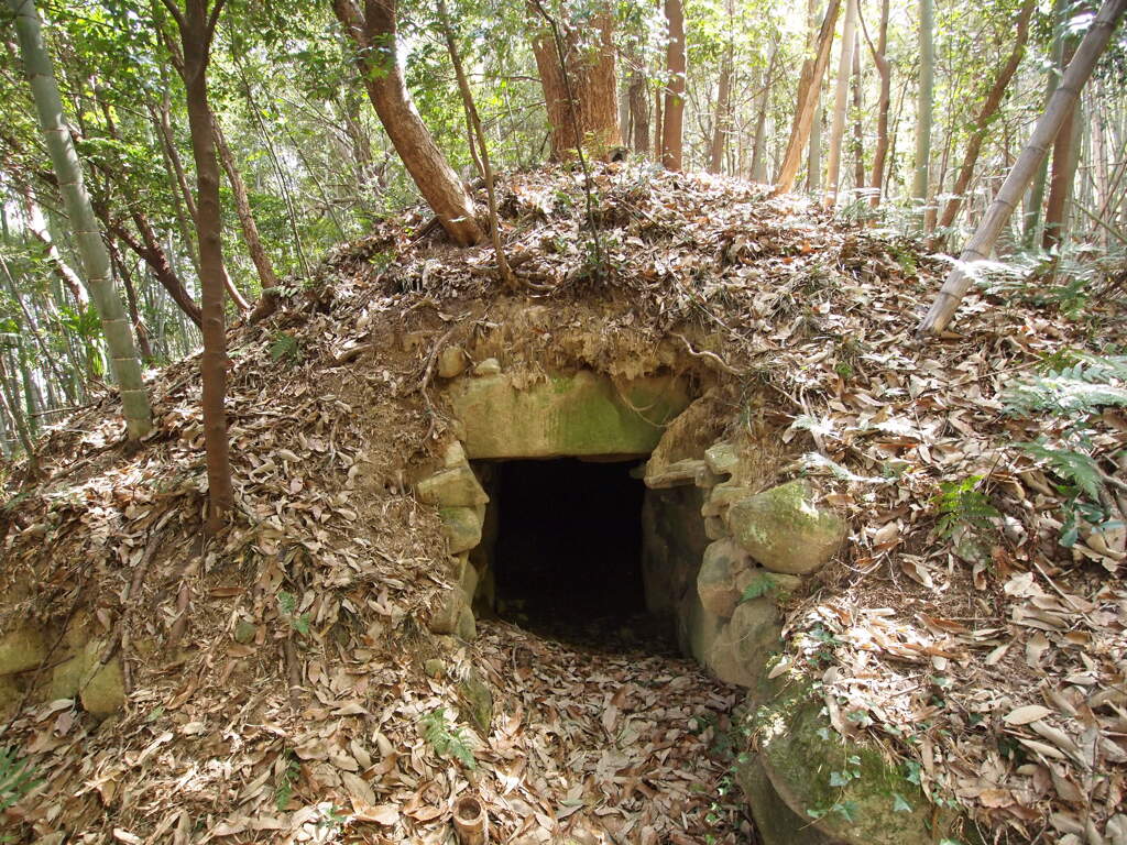 小池