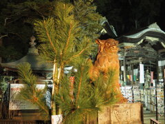 迎春