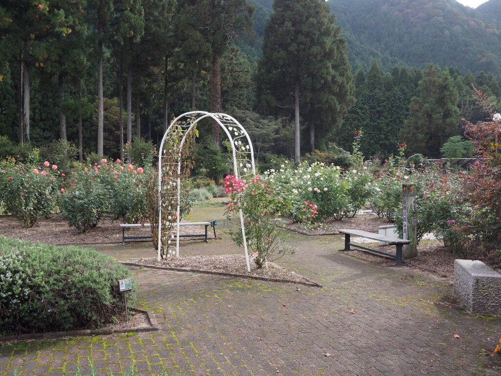 公園
