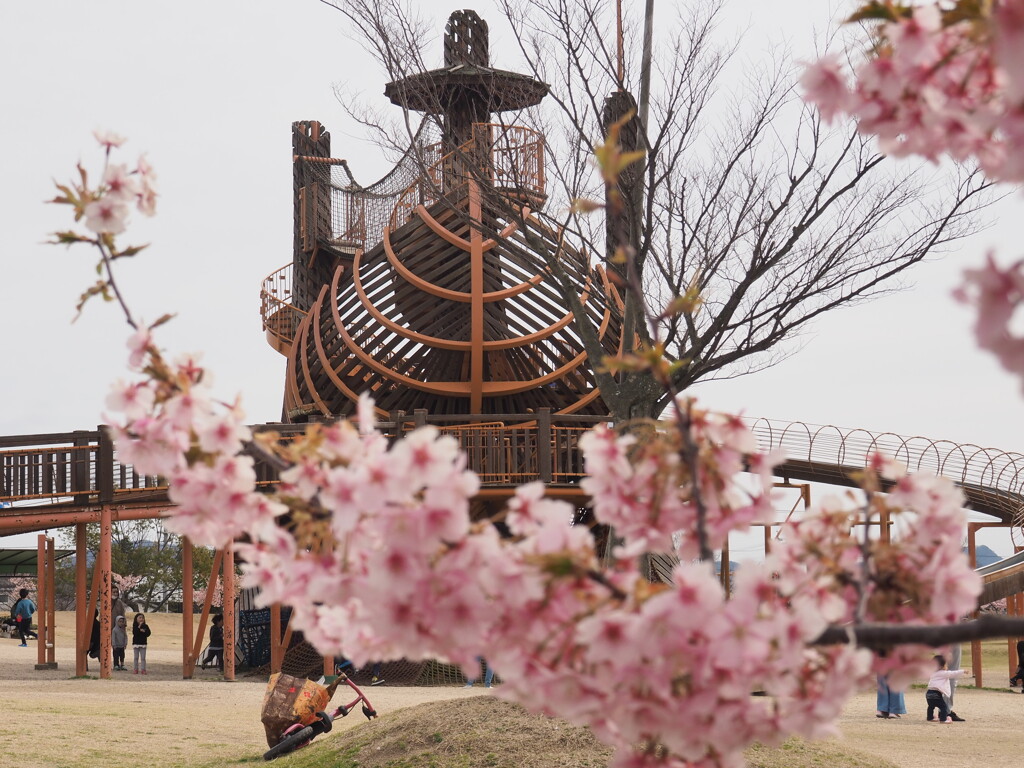 遊園