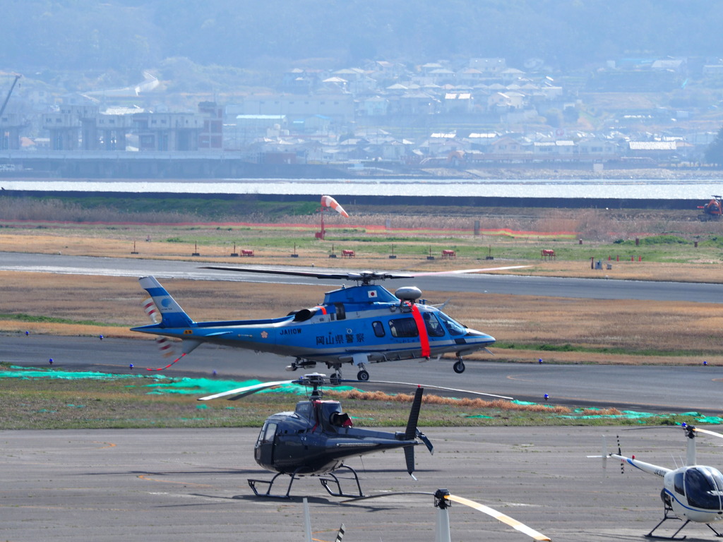 出動