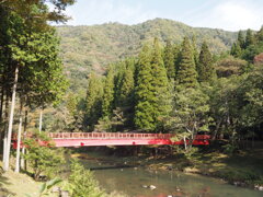 宇甘