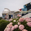 終華