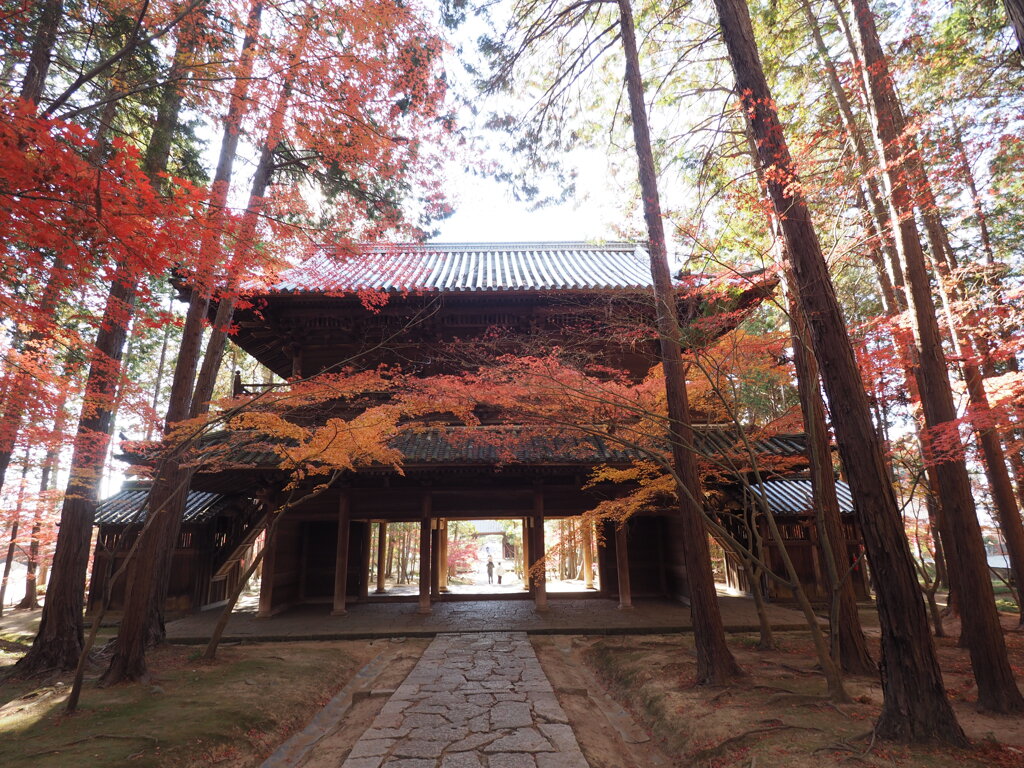 帰道