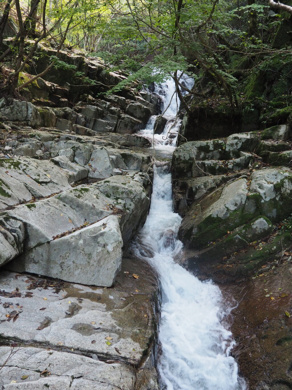 粟倉