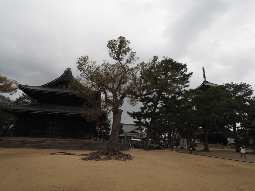 逆打