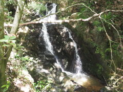 雌滝