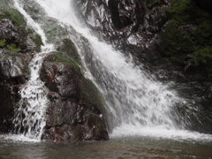 沢柳