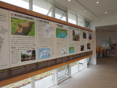 造山
