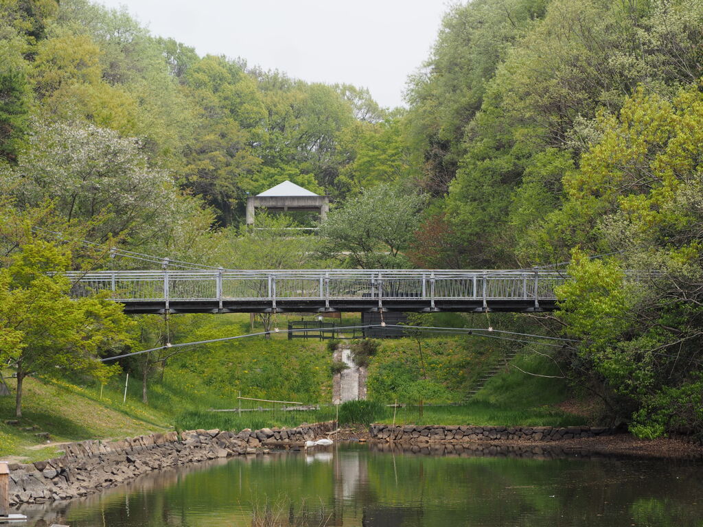 公園