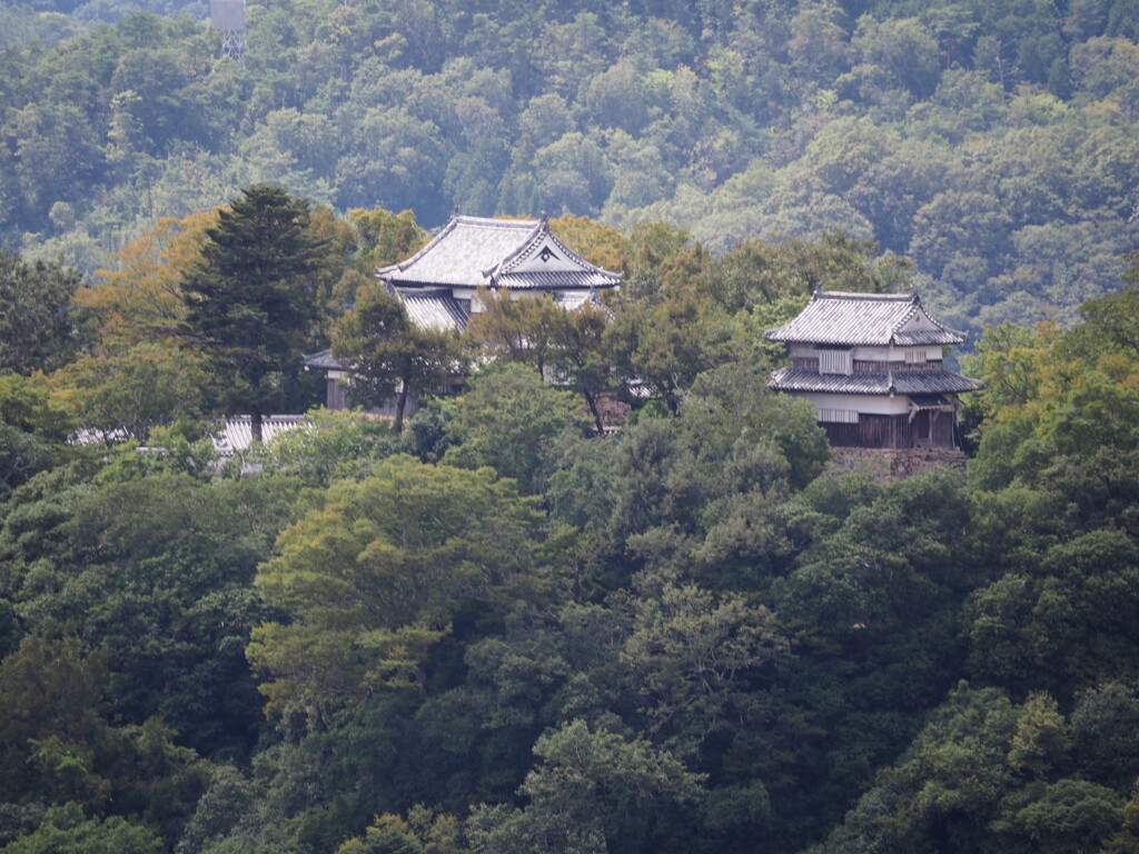 雲海
