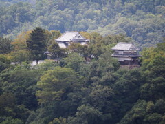 雲海