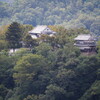 雲海