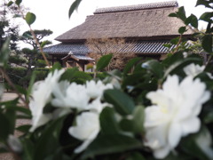 役場