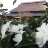 役場