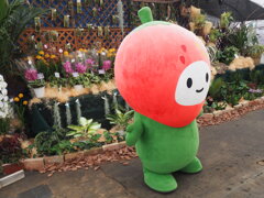蘭展