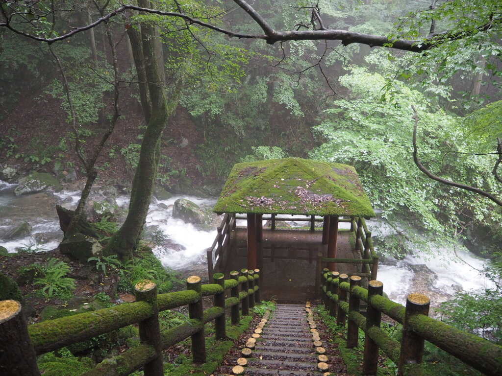 那岐