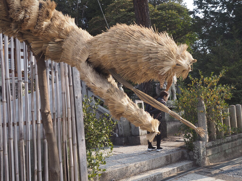 己巳