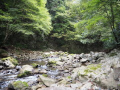 渓谷