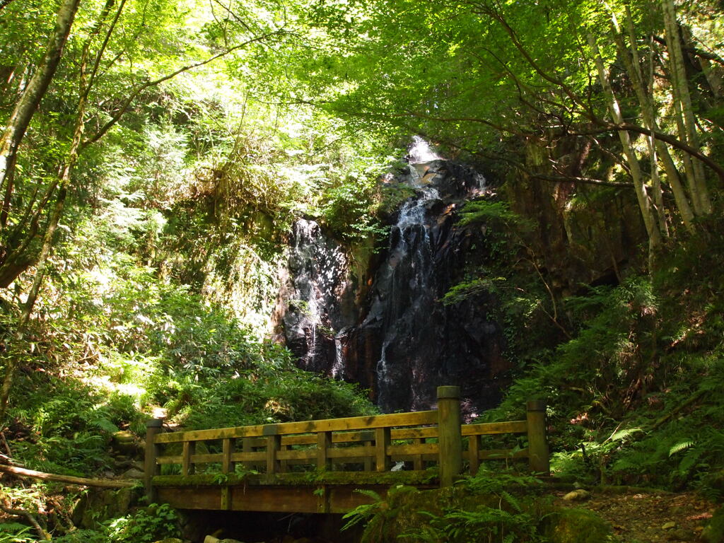 夫婦