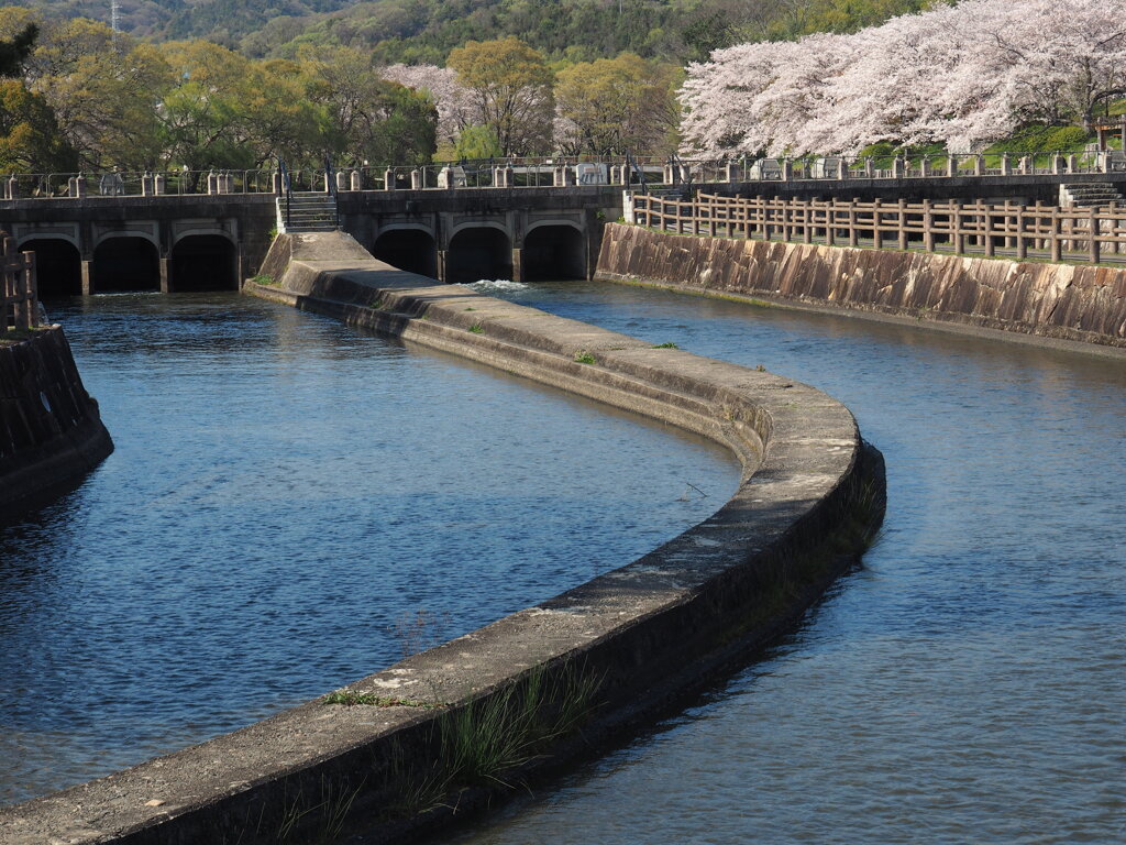 春水