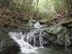 黄谷