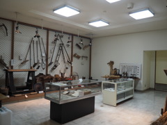 展示