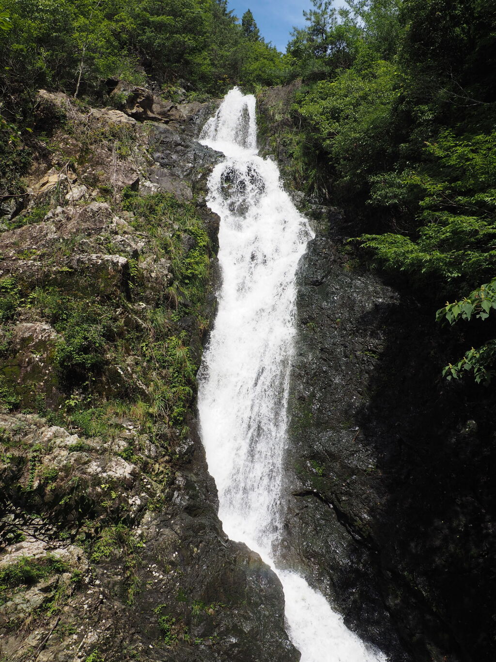 竜門