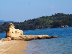 秋海