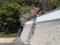 春静