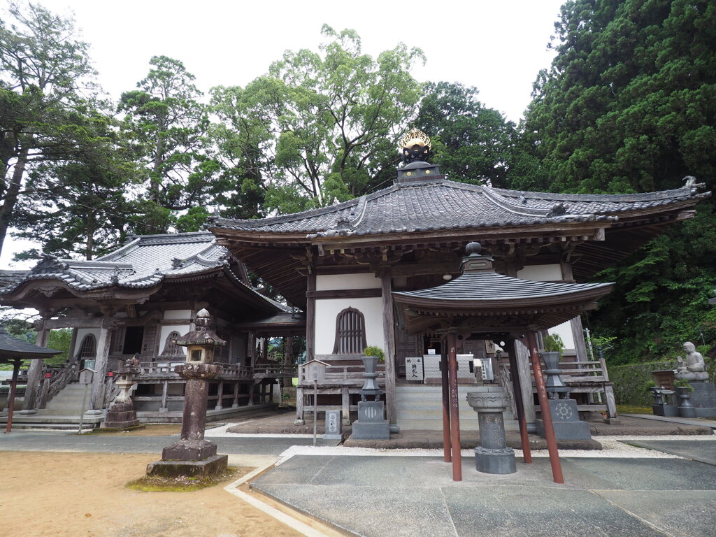 佛木