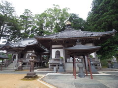 佛木
