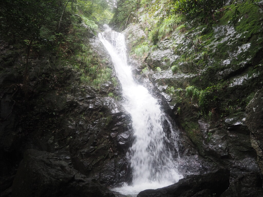日暮
