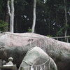 石神