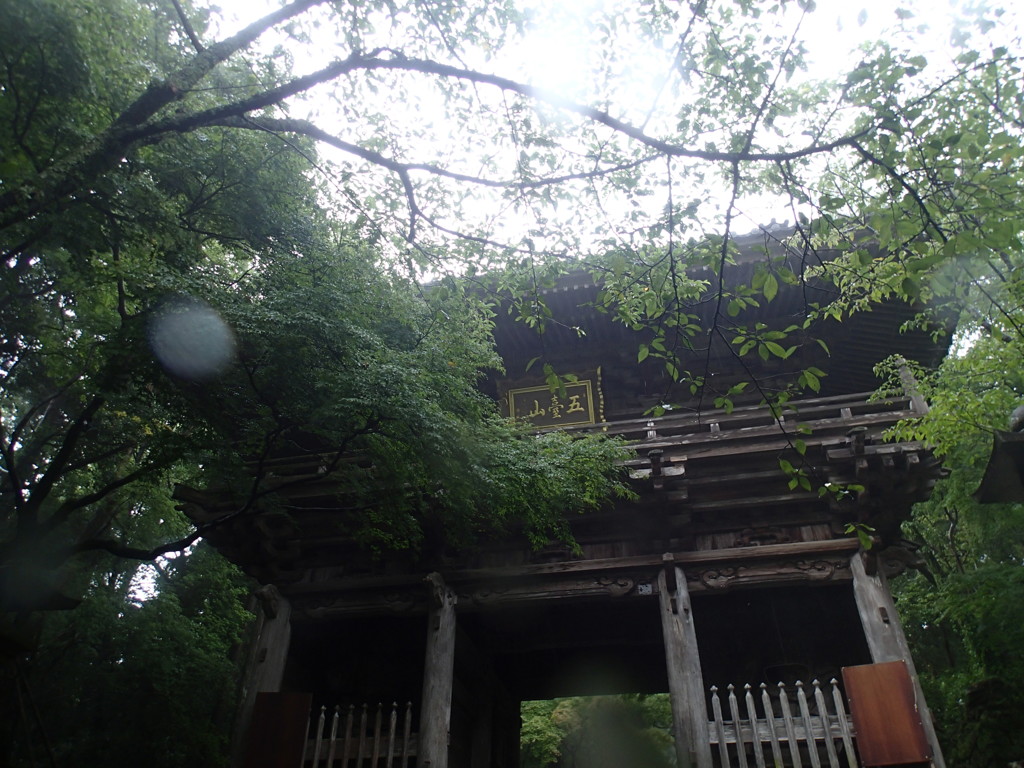 お遍路31番札所「竹林寺」
