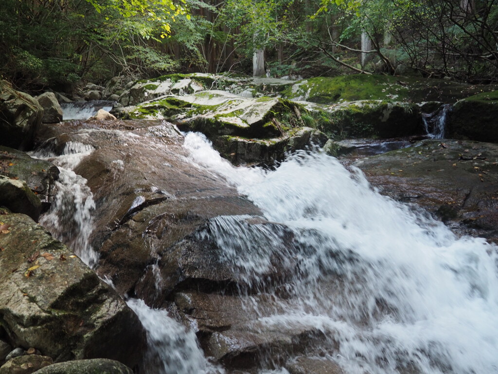 粟倉