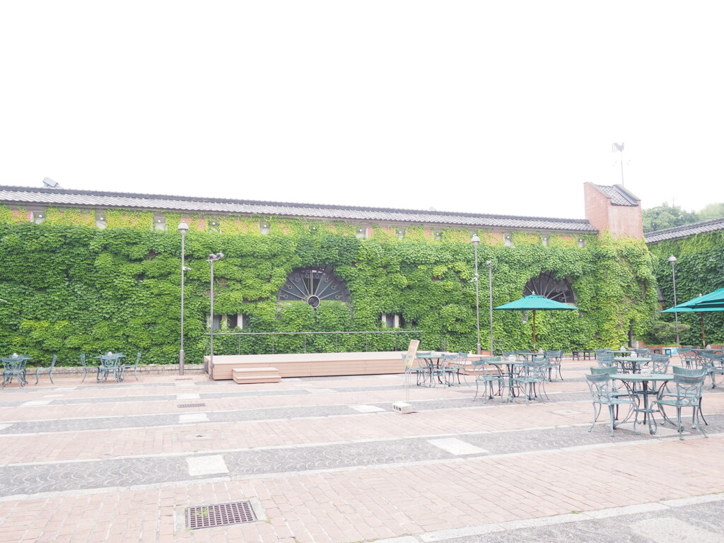 庭姿