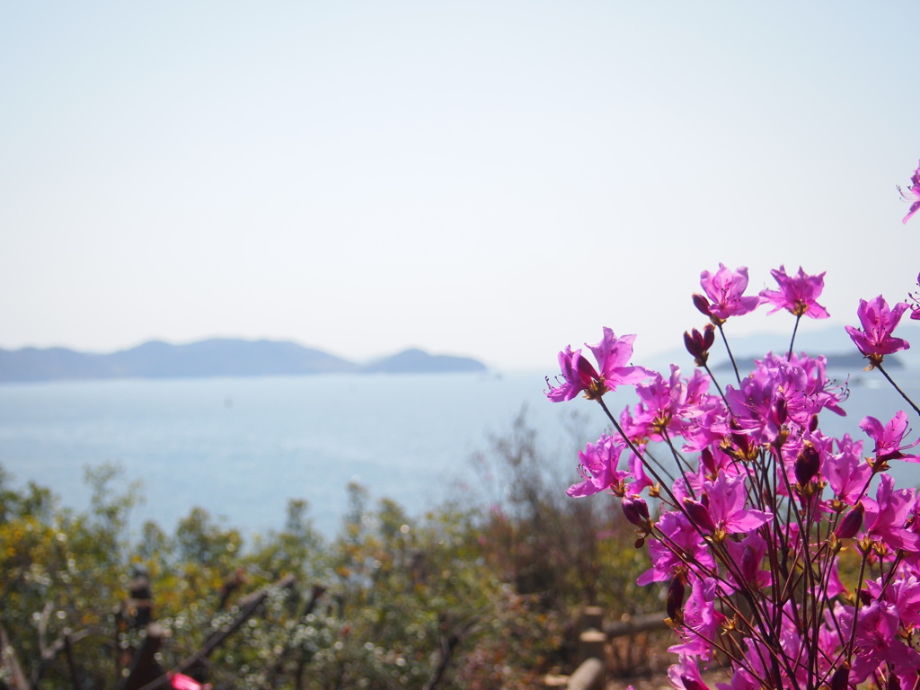 春海