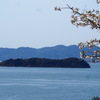 島彩