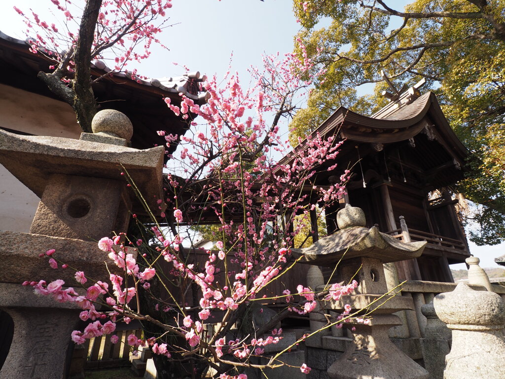 天神