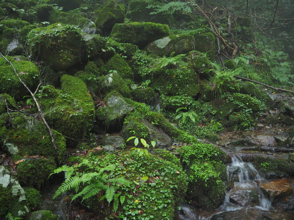 那岐